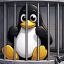 Роскомнадзор забанил Linux в России!